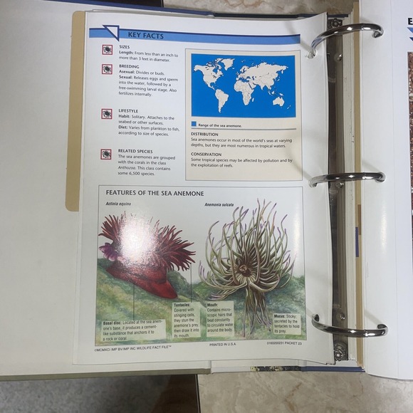 wildlife fact file Sections 6-11, Roughly 350 Cards - Picture 15 of 15